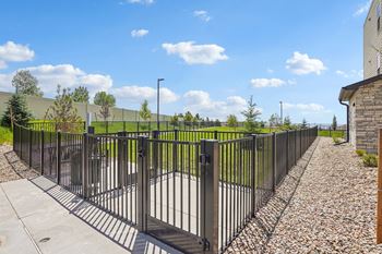 Dog park
